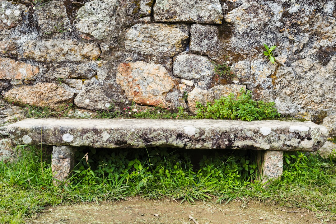 photo 1696411753637 57fa27cd7357cropentropycstinysrgbfitmaxfmjpgixidM3wxNDA1NTd8MHwxfHNlYXJjaHw0OHx8Z3JlZW4lMjB3YWxsJTIwcGxhbnRzfGVufDF8MHx8fDE3NDM5MjYwMDN8MAixlibrb 4.0.3q80w1080